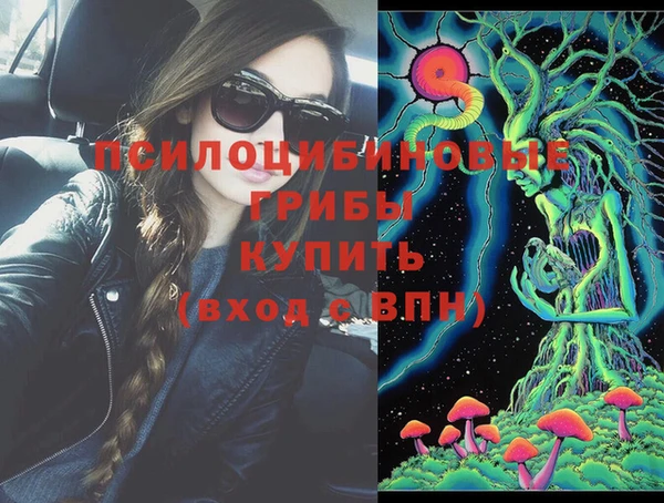 твердый Осинники
