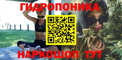 MESCALINE Гатчина