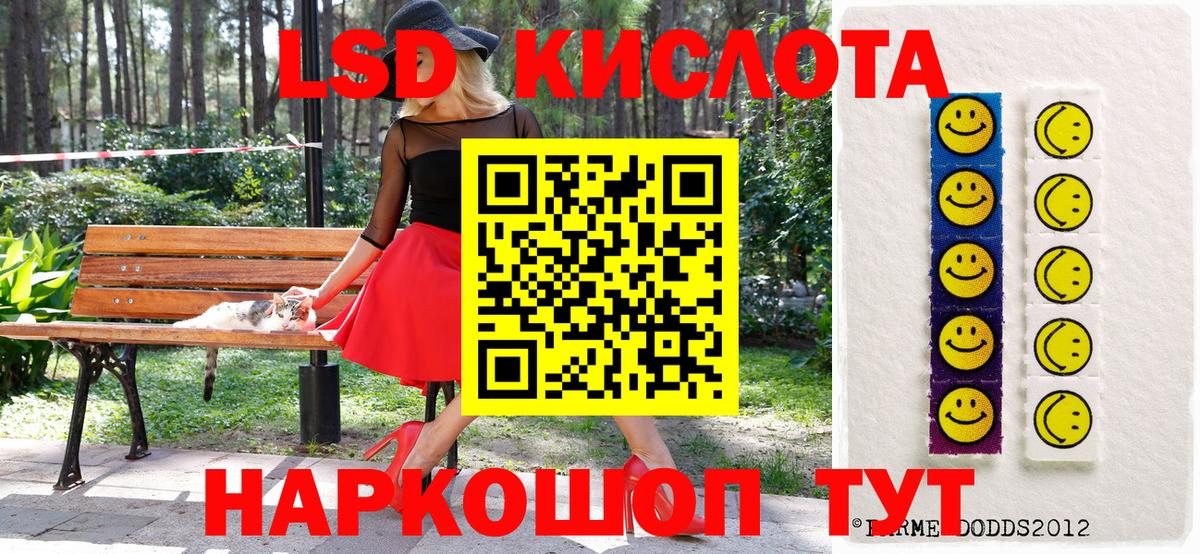 МЕФ Боровичи