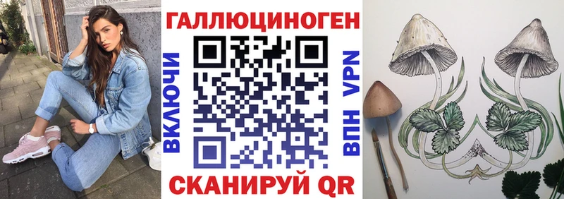 Галлюциногенные грибы Psilocybine cubensis МЕГА ССЫЛКА Боровичи наркота