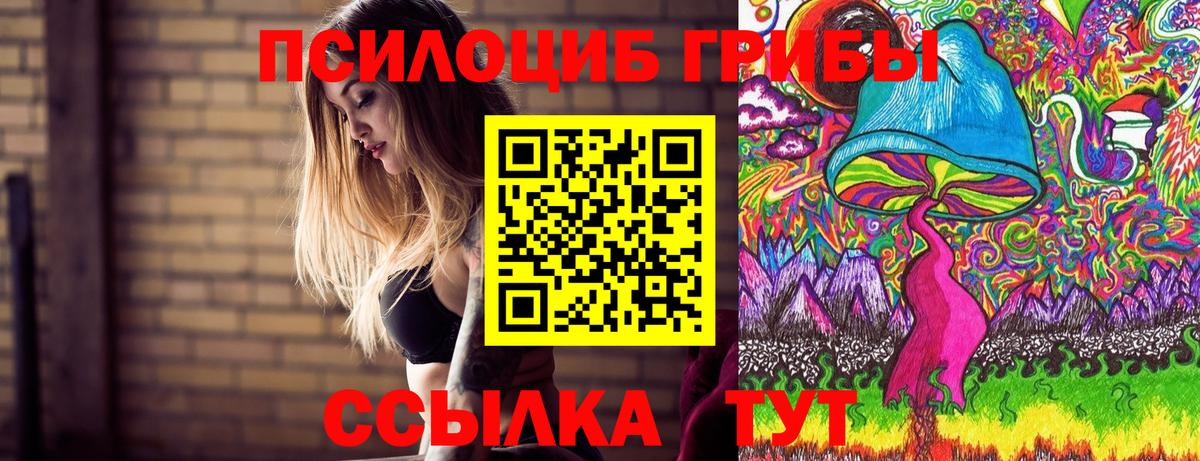Галлюциногенные грибы мицелий Боровичи