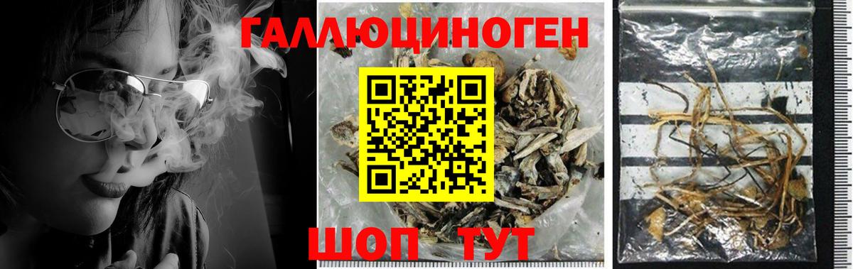 где найти наркотики  Вход с VPN  Боровичи  Псилоцибиновые грибы GOLDEN TEACHER 